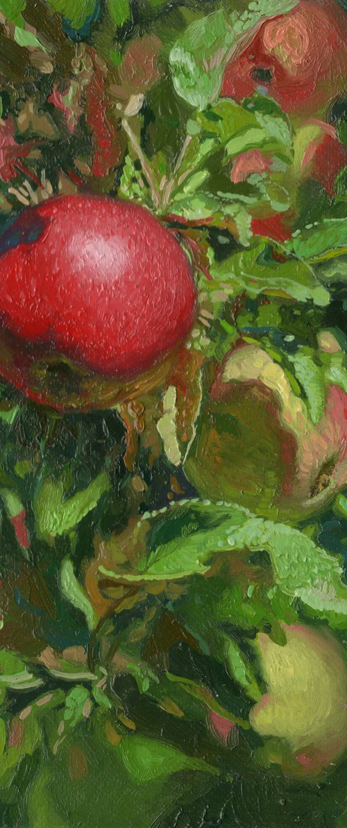 Apples by Simon Kozhin