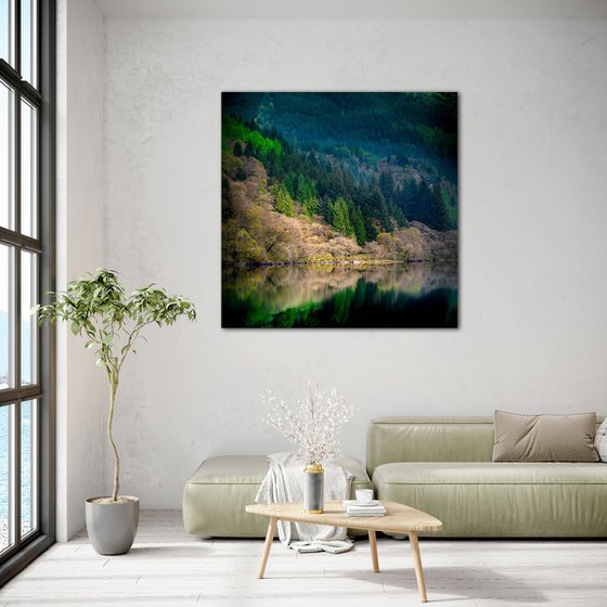 Peace in the Forest - Photography Art on Canvas