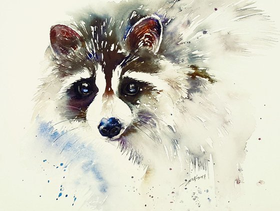 Raco the Raccoon