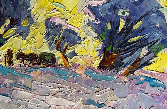 Winter morning in the field