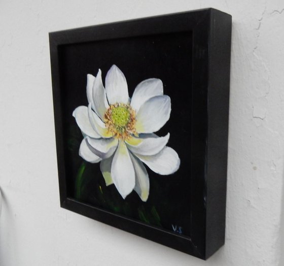 Magnolia flower. (2) framed painting.