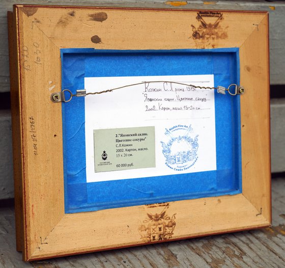 Japanese garden. Sakura blossom