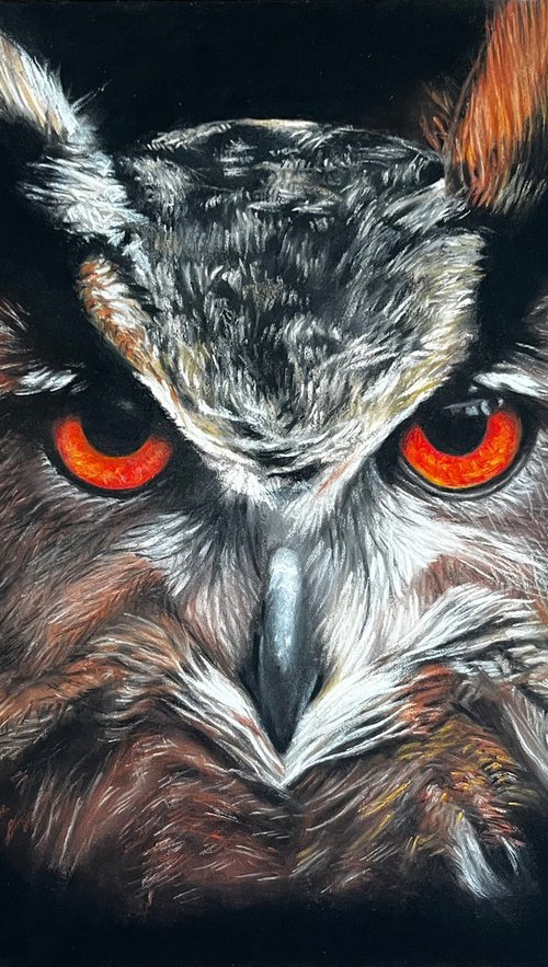 Amber Gaze - Original Owl Portrait by Angelo Di Carlo