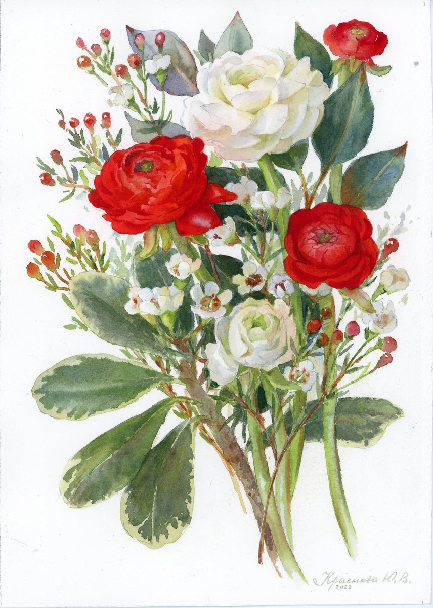 Photorealistic Botanical Watercolour By Yulia Krasnov, 8 X 12", White And Red Ranunculus, Original Artwork