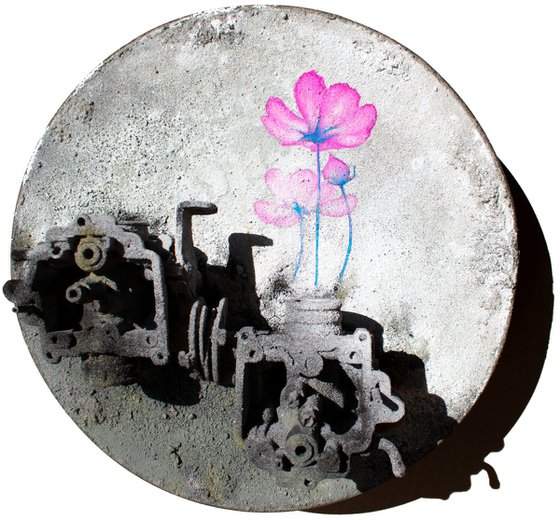 Germinazione n.1