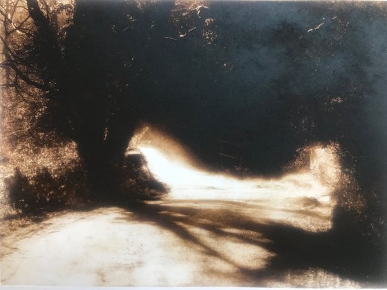 Follow the Light