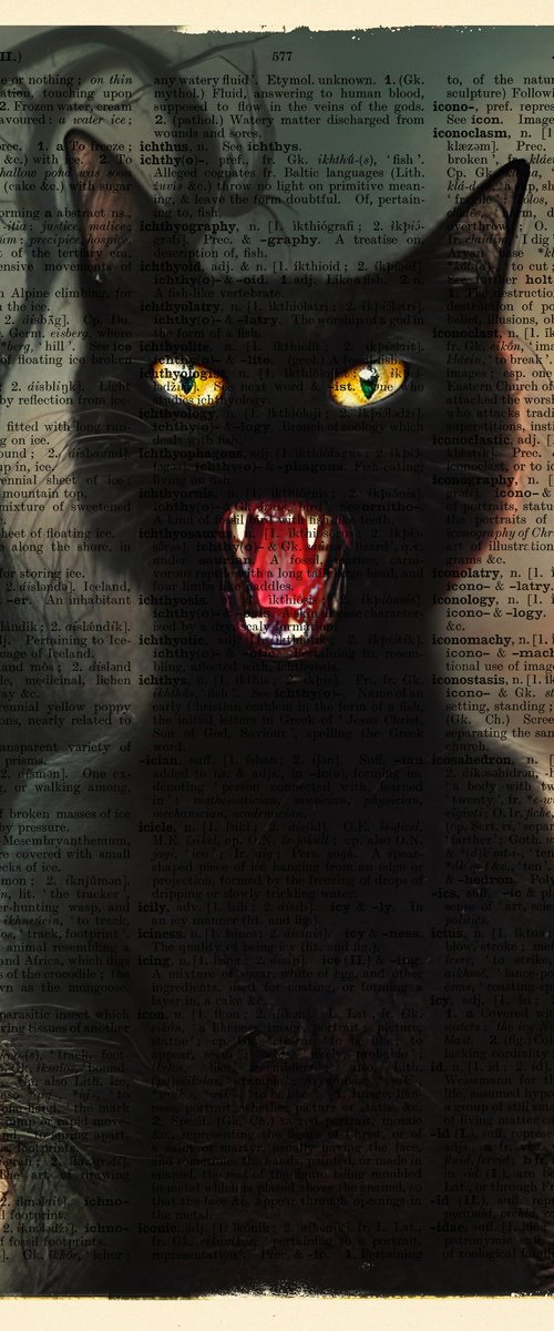 Screaming Black Cat Rocky by Jakub DK - JAKUB D KRZEWNIAK