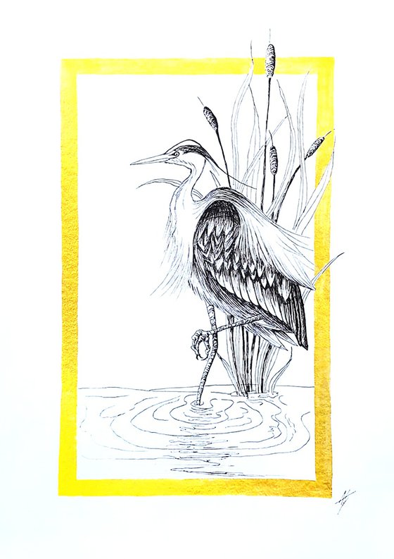 Heron