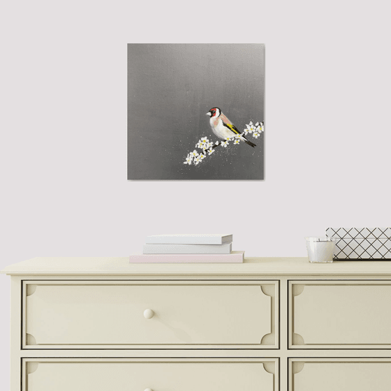 Goldfinch ~ on Cherry Blossom