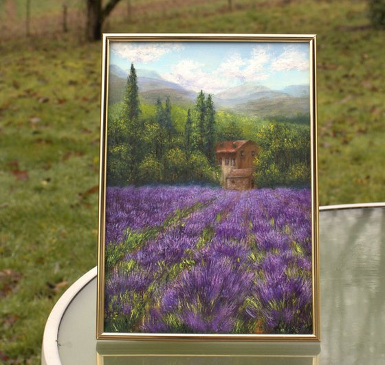 Lavender landscape in Provence