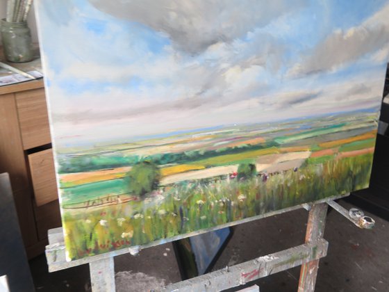 Yorkshire Wolds, June 23