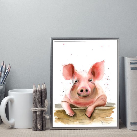 Pig portrait