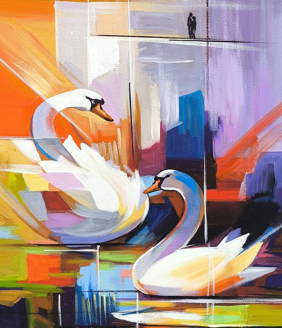 Elegance Swans