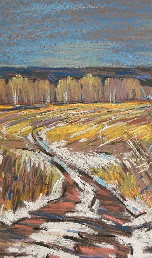 road in field by Sergey  Kachin