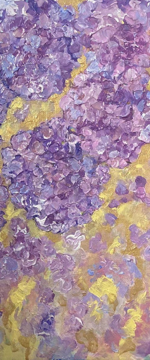 Hydrangeas by Colette Baumback