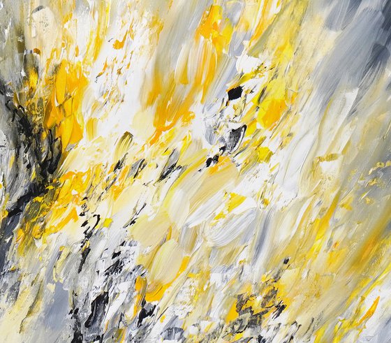 Elegance Anthracite M  1