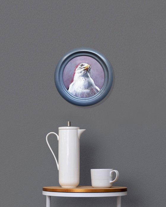 Portrait of a seagull.