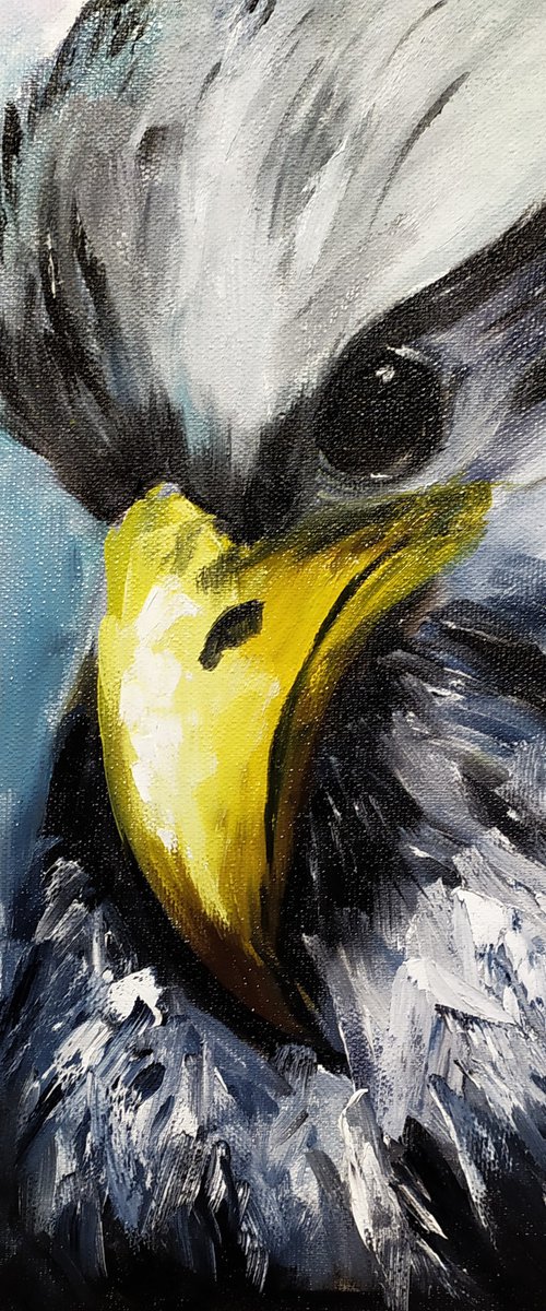 Young eagle by Nataliia Plakhotnyk