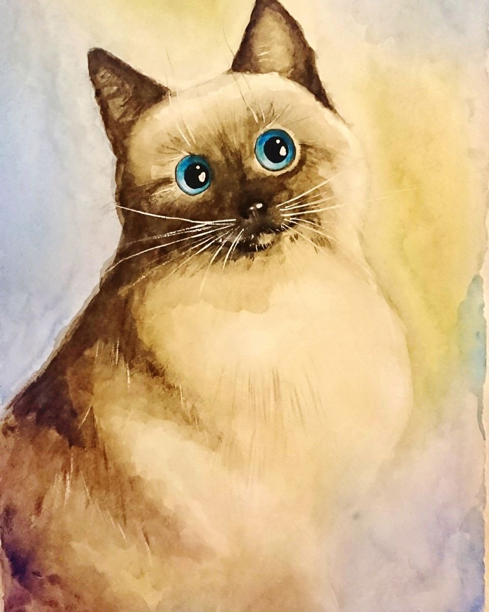 Cat by Svetlana Vorobyeva