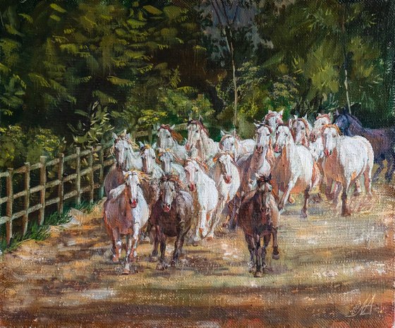 White Horses