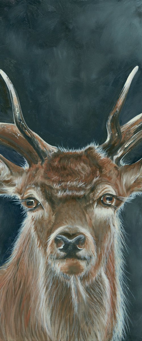 'Stag on Alert' by Nicola Colbran