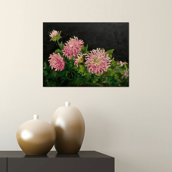 DAHLIAS