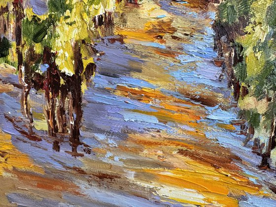 Vignes sous le soleil