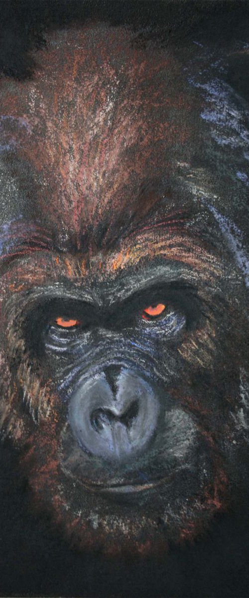 Gorilla by Salana Art