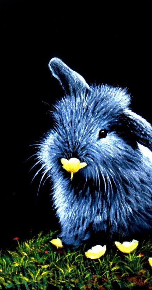 Bunny by Vlad Atasyan