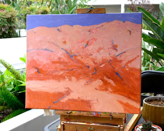 The Pink Hill of the Desert