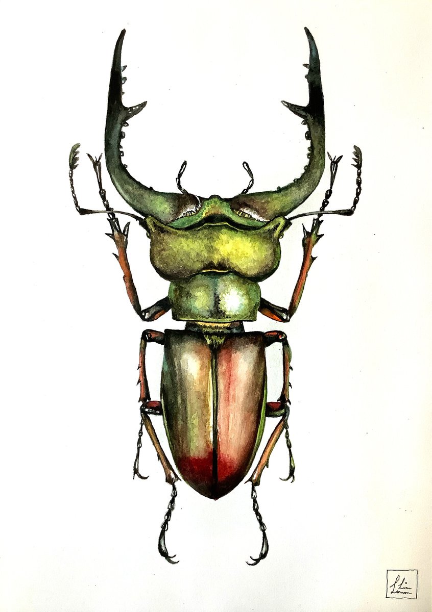 Green Beetle by Lisa Lennon