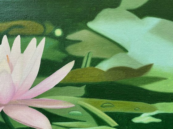 Water Lily