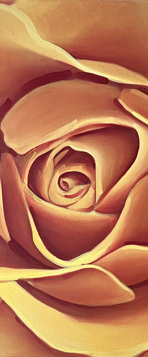 Yellow Rose by Sarah Wymer