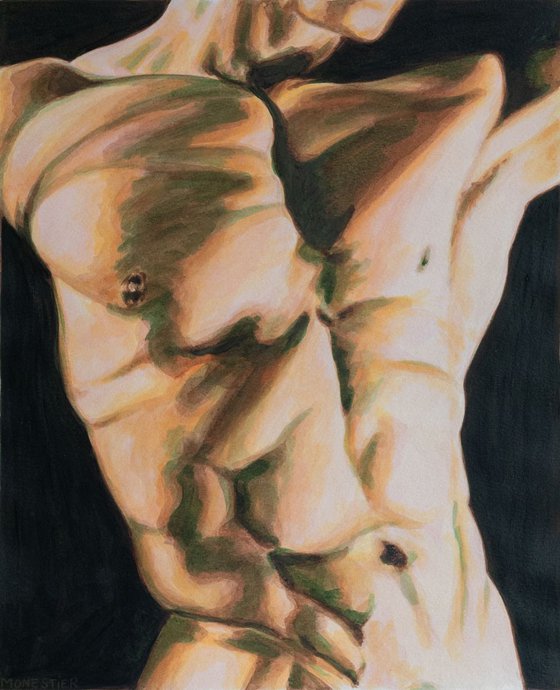 Male nude Torso 2 watercolor man body muscles