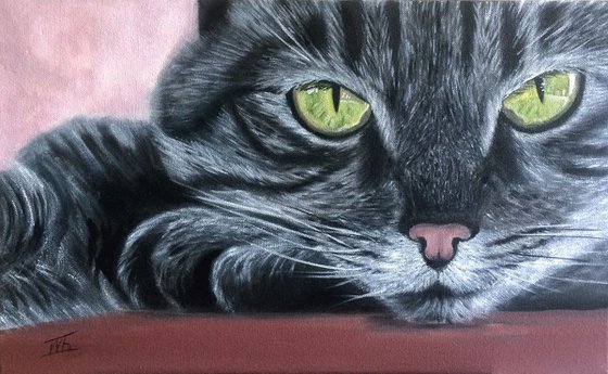 Portrait of lovely grey cat with green eyes