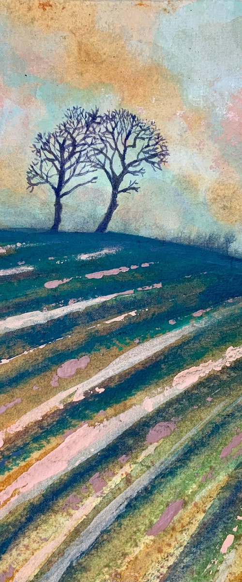 Winter Field by Janice MacDougall