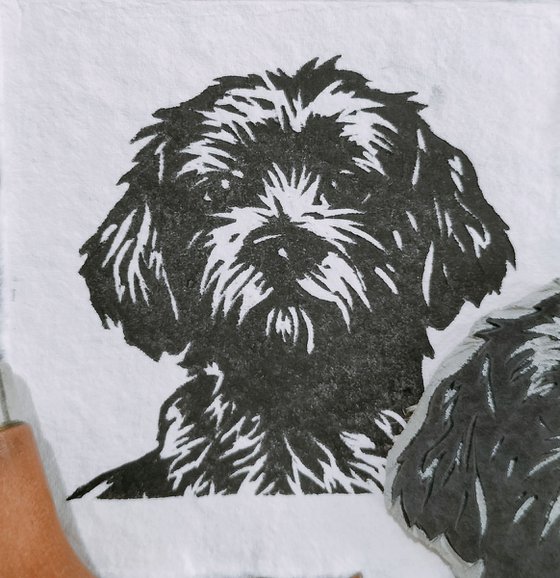 Poodle Mix Mini Print