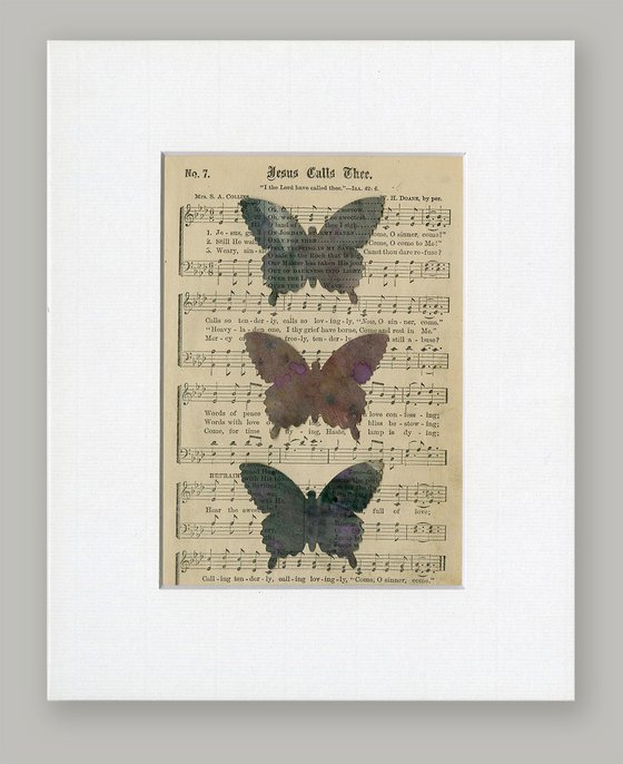 Butterfly Collage 16