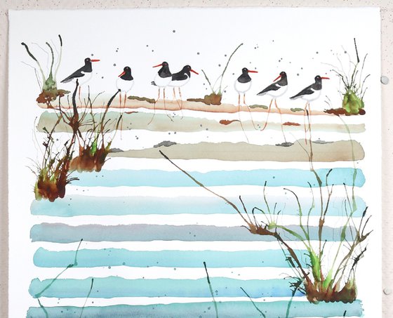 Oystercatchers Picnic