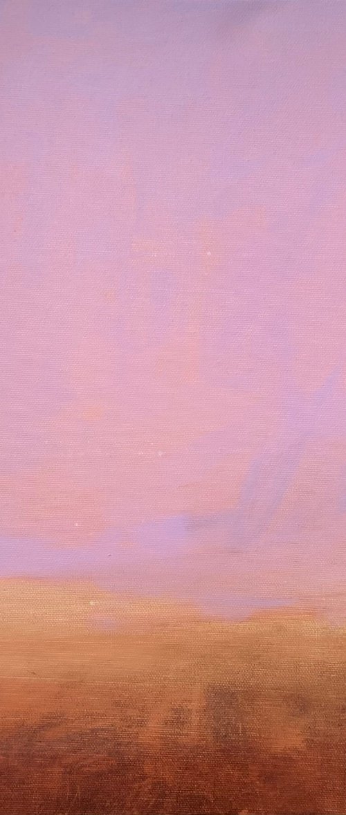 Abstract Pink and Red Earth by Jessica Davidson