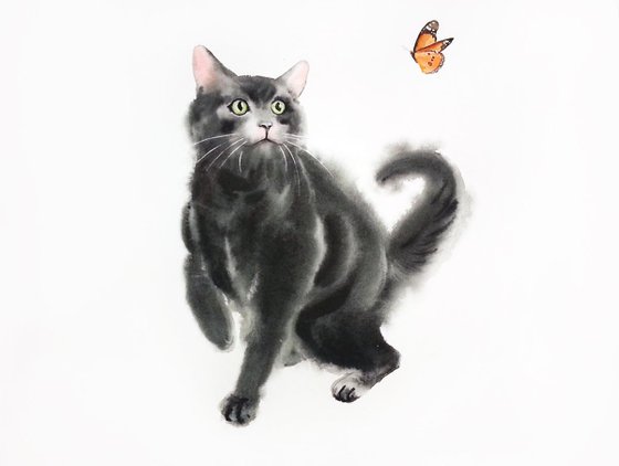 Black Cat Playing with Butterfly