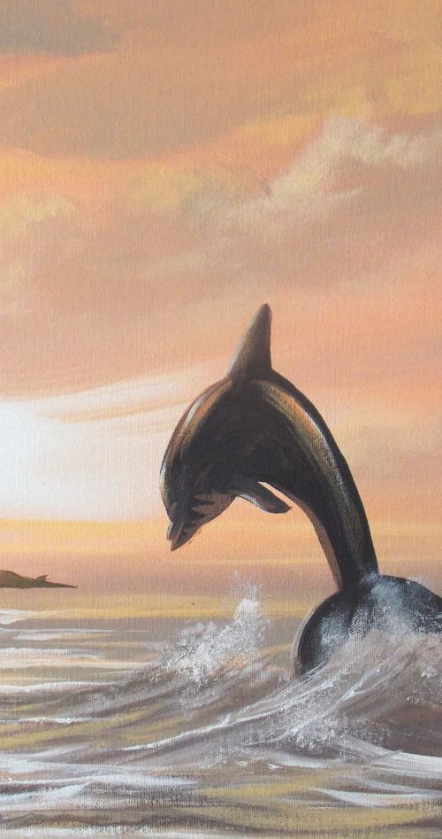 cruagh island dolphin by cathal o malley
