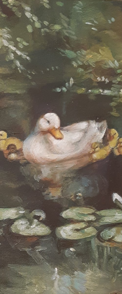 Duck family in the water by Viktória Déri