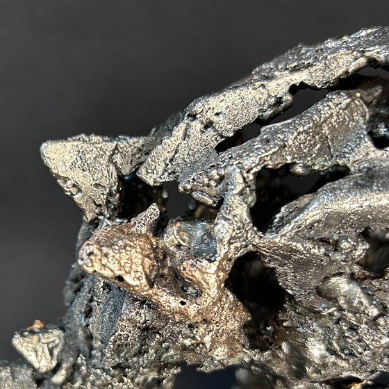 Air and bronze rhinoceros