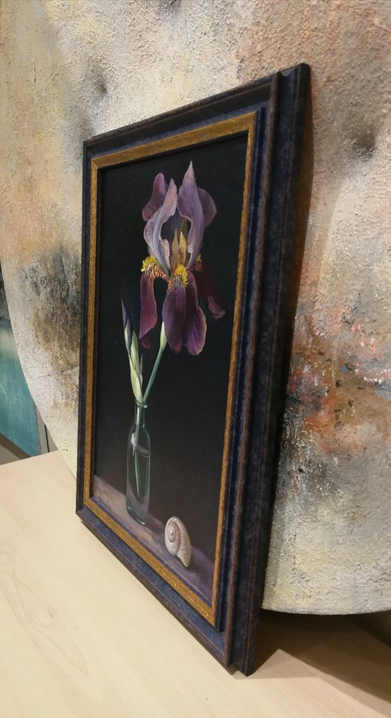 “Still life with Iris”