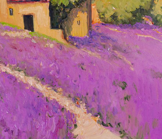Lavender in French Villa