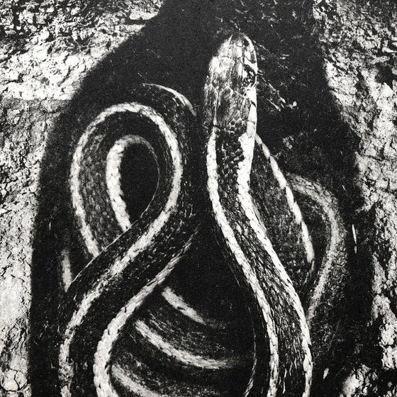 Exterior No.30: Down The Hole