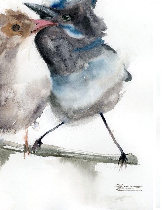 Pair of  wrens (birds)