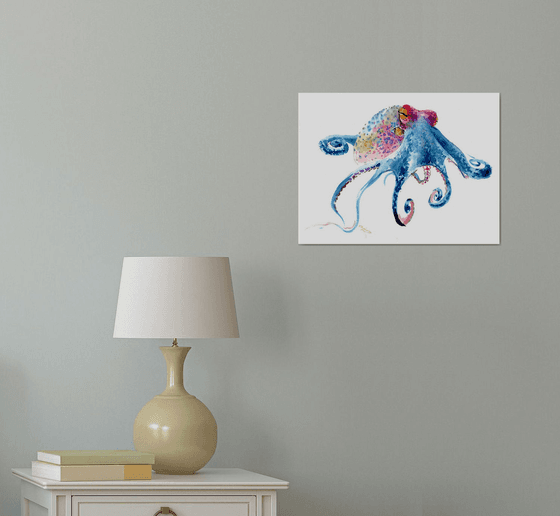 Colorful Octopus