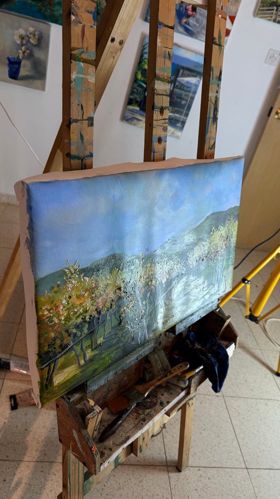 Autumn Vineyards of Ghianti